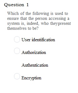 Information Systems in Organizations-Quiz 6